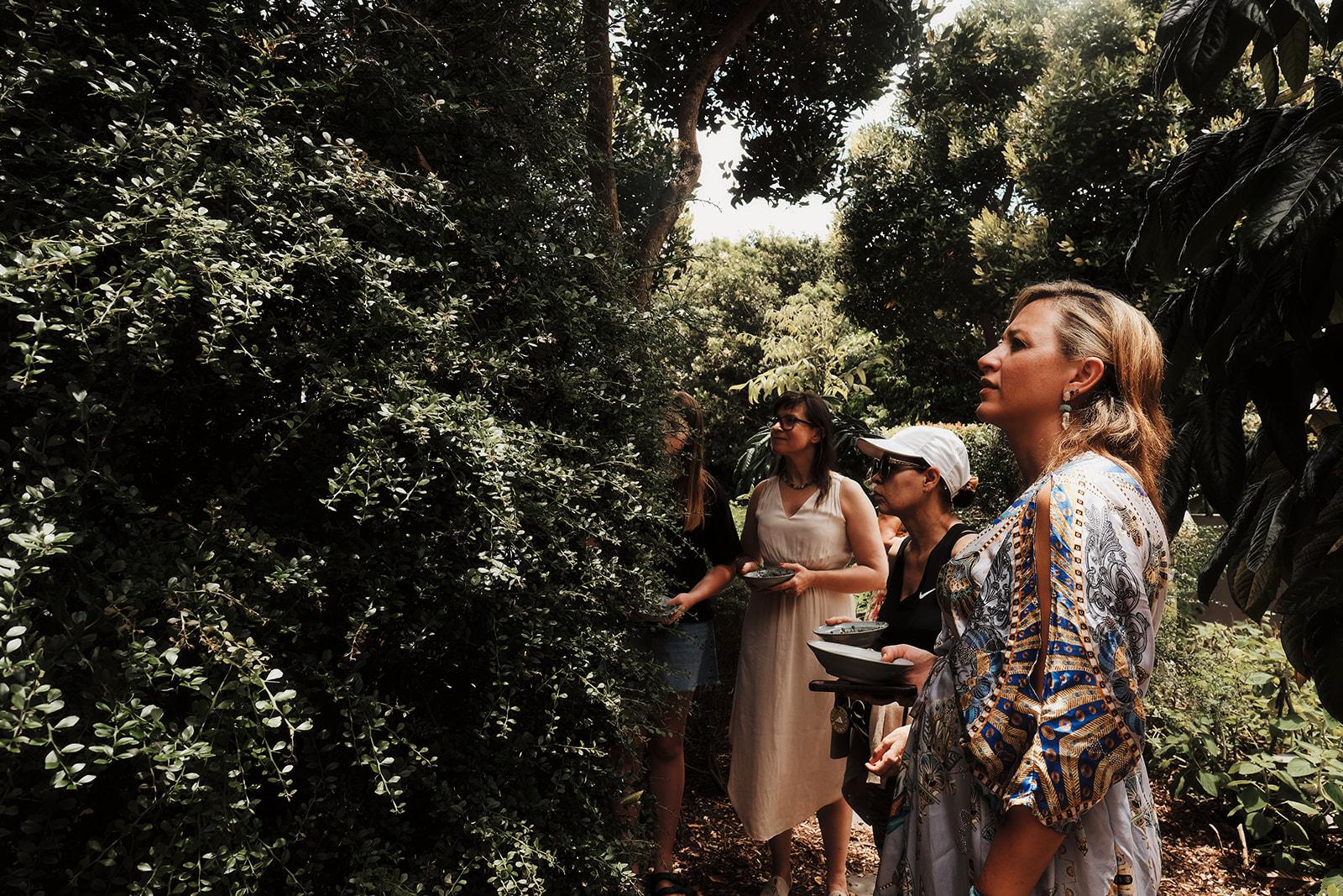 Women holding foraging bowls, looking up into the bush canopy