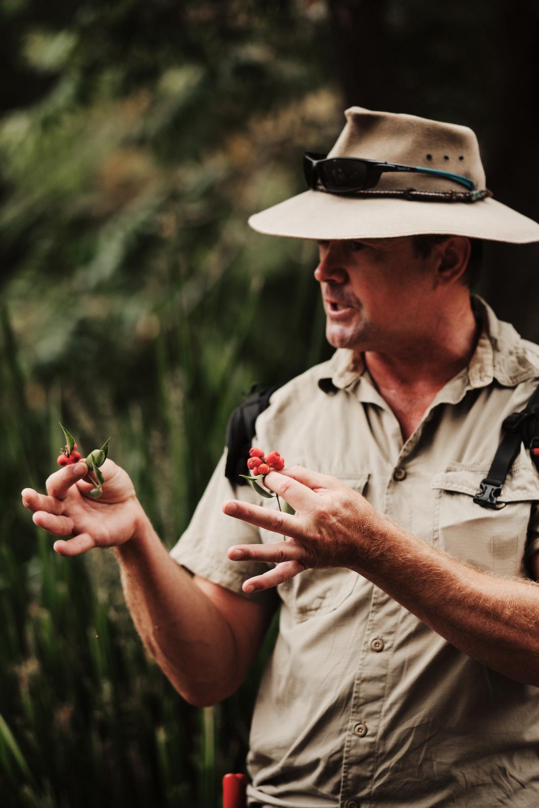 A guide holding native bush berries, explaining them to the group