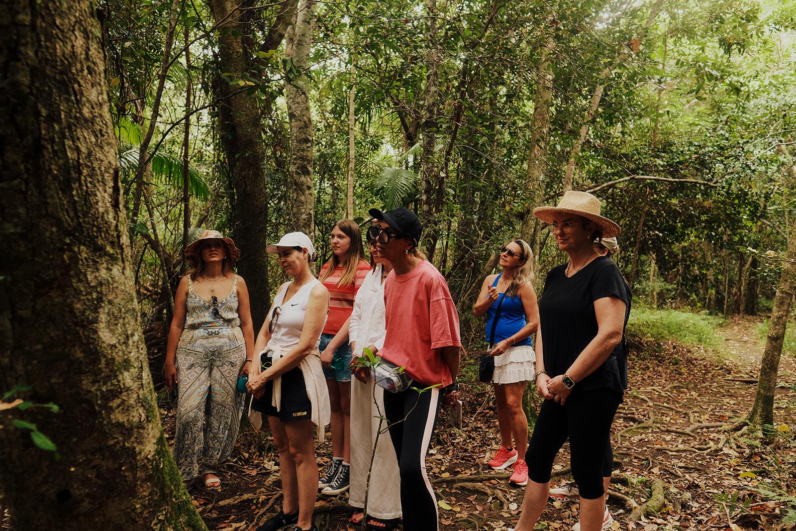 The group walking single file through the bush on a discovery walk