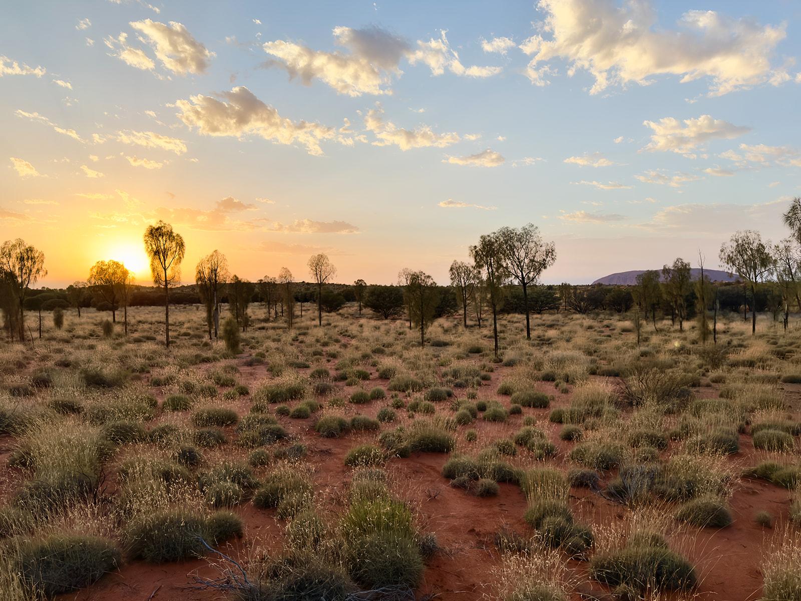 Sunset over the desert landscape near Uluru