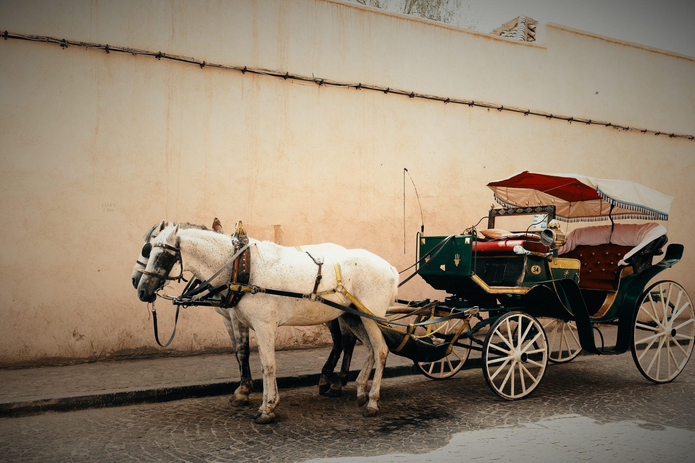 A white horse harnessed to a green and red carriage, parked beside a pale wall