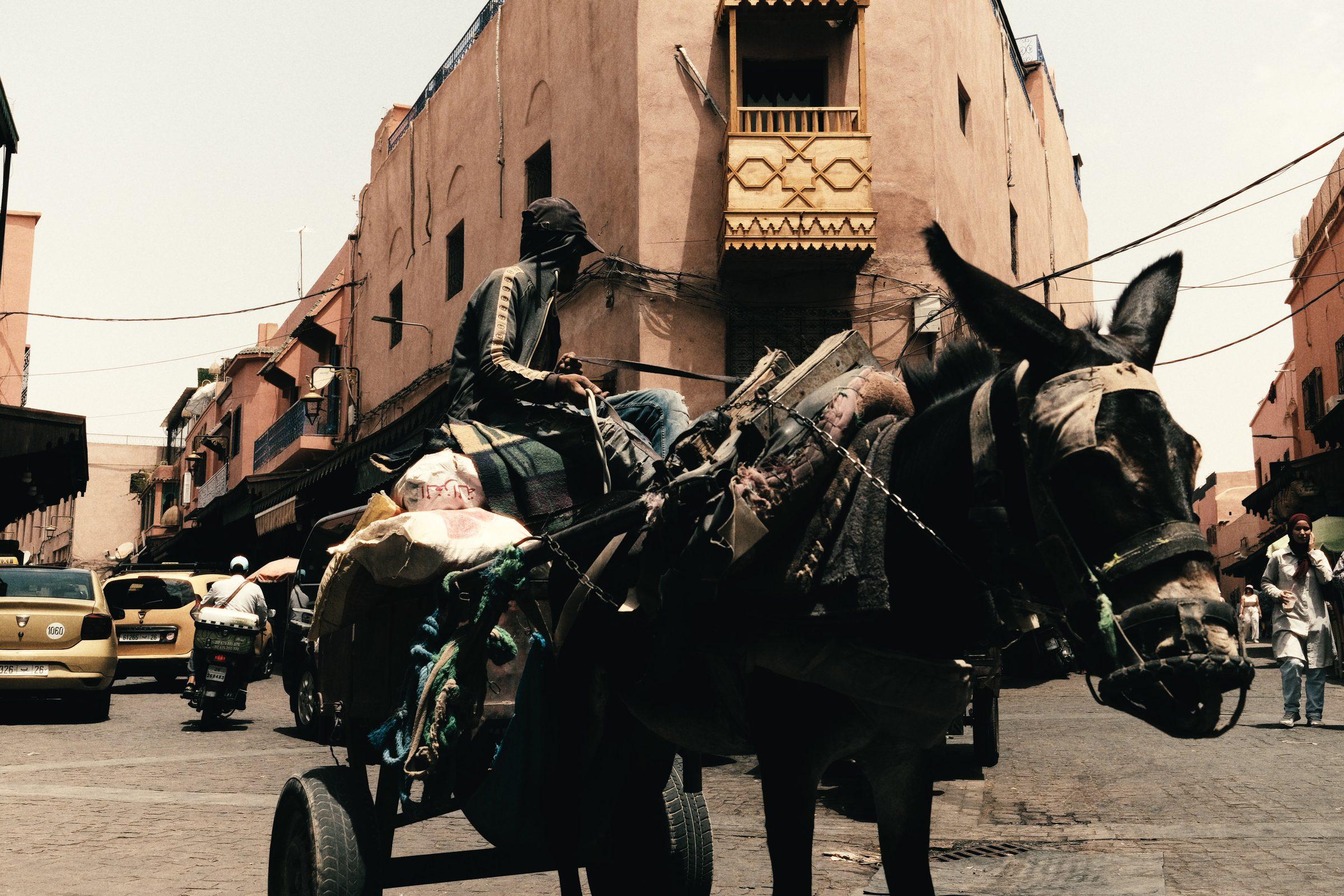 A donkey pulling a loaded cart down a busy street, a rider crouched behind, pink buildings beyond