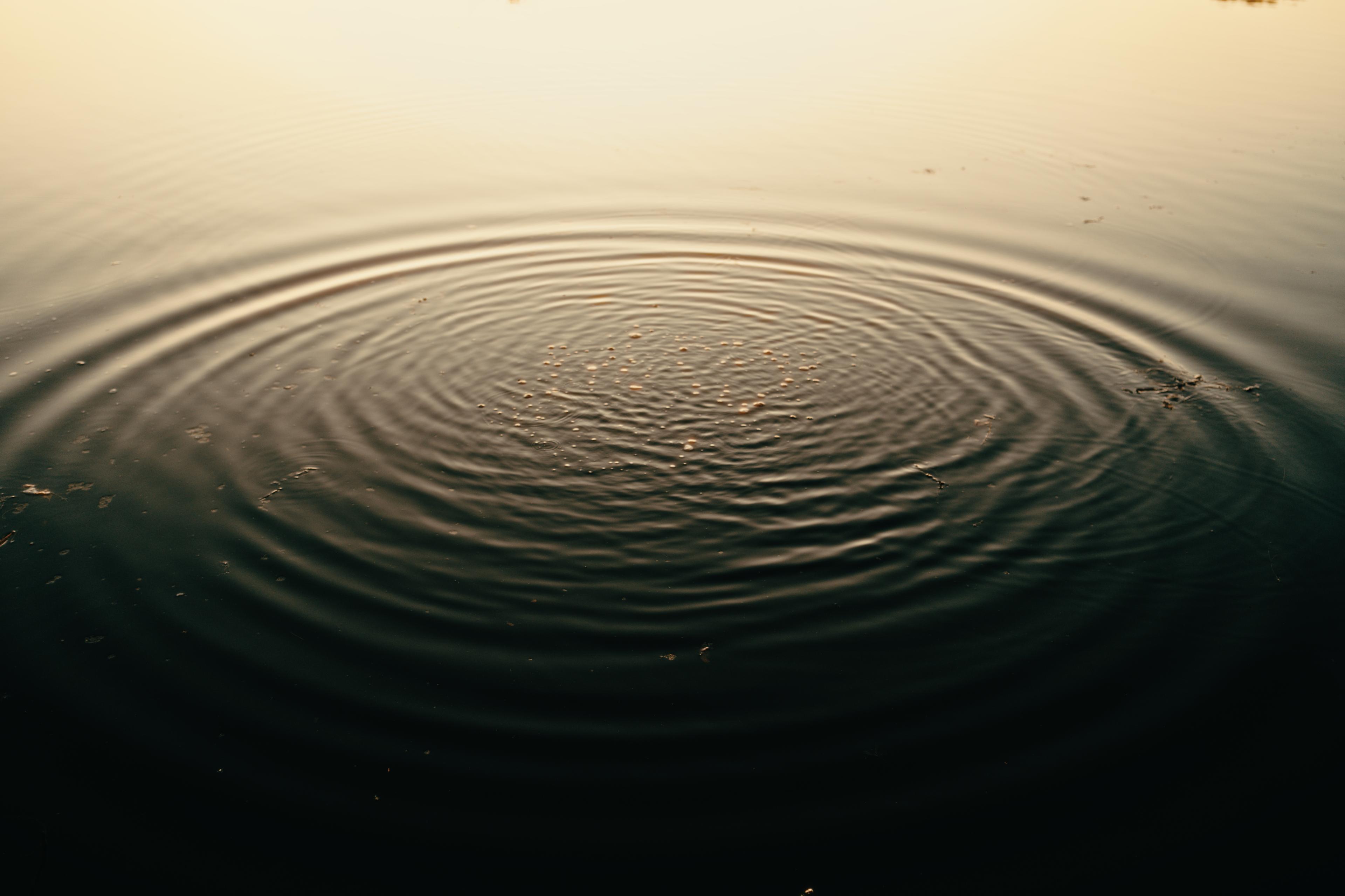 A ripple spreading across still water lit gold by the sunset